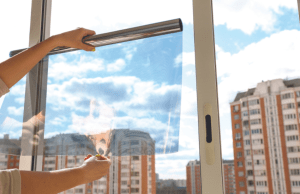 Photo d'un film solaire tenu devant une vitre